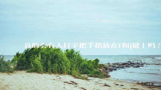 真的会有人打字把手指放在f和j键上吗?