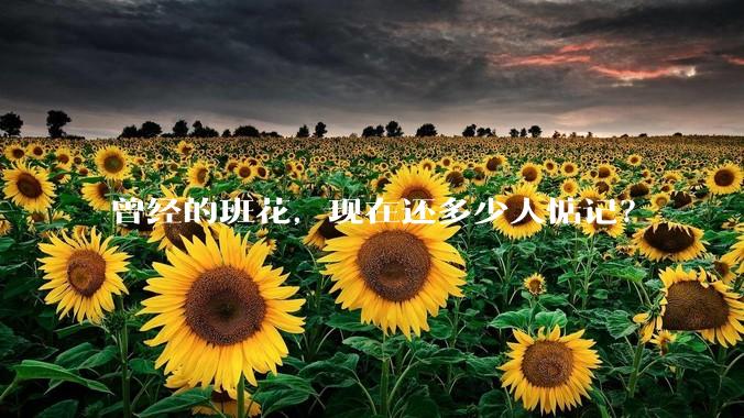 曾经的班花，现在还多少人惦记？