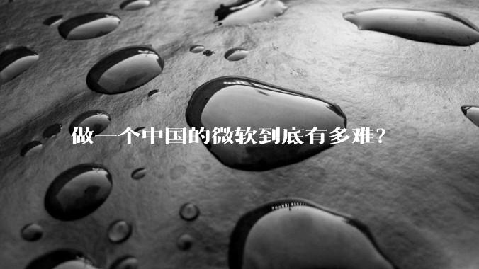 做一个中国的微软到底有多难？