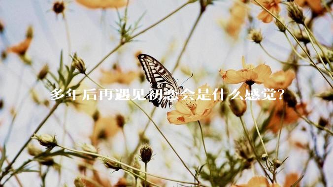 多年后再遇见初恋会是什么感觉？