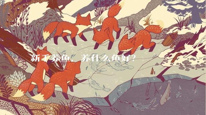 新手养鱼，养什么鱼好？
