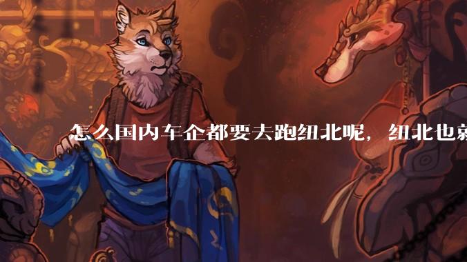 怎么国内车企都要去跑纽北呢，纽北也就是个普通赛道?