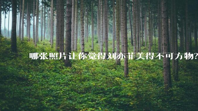哪张照片让你觉得刘亦菲美得不可方物？