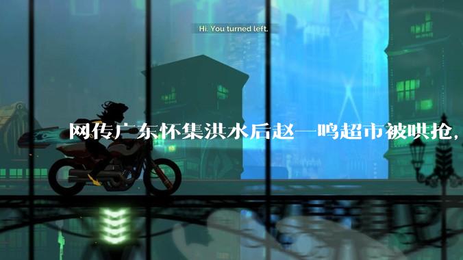 网传广东怀集洪水后赵一鸣超市被哄抢，县***回应相关单位正在核实，若属实哄抢者该承担哪些法律责任？