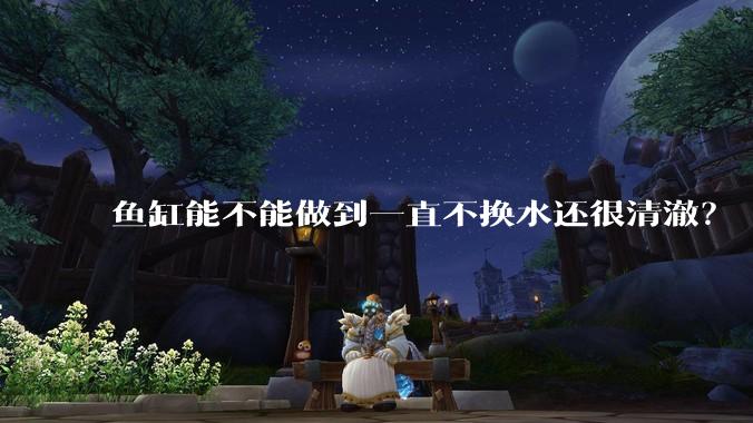 鱼缸能不能做到一直不换水还很清澈？