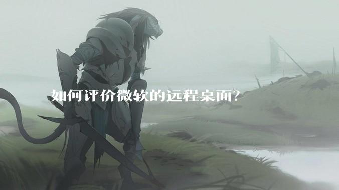 如何评价微软的远程桌面？