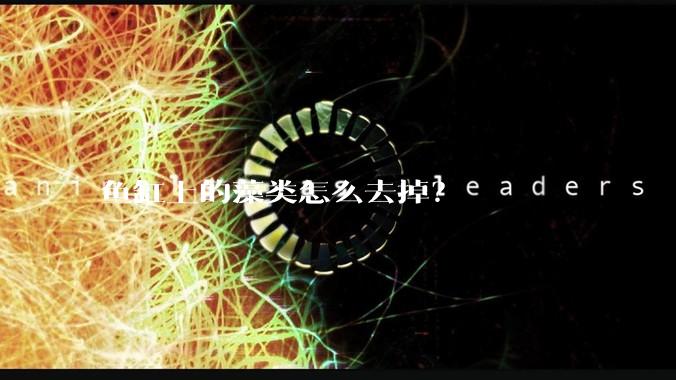 鱼缸上的藻类怎么去掉？