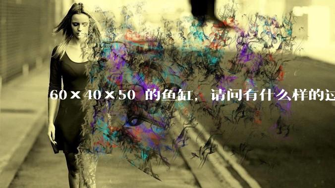 60×40×50 的鱼缸，请问有什么样的过滤器好用呢？