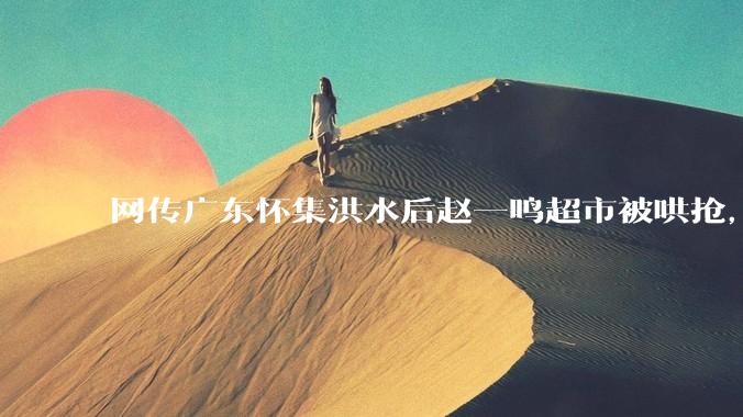 网传广东怀集洪水后赵一鸣超市被哄抢，县***回应相关单位正在核实，若属实哄抢者该承担哪些法律责任？