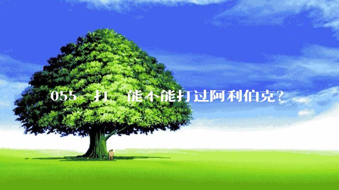 055一打一能不能打过阿利伯克？