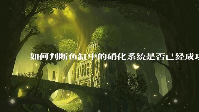 如何判断鱼缸中的硝化系统是否已经成功建立？