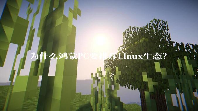 为什么鸿蒙PC要排斥Linux生态？