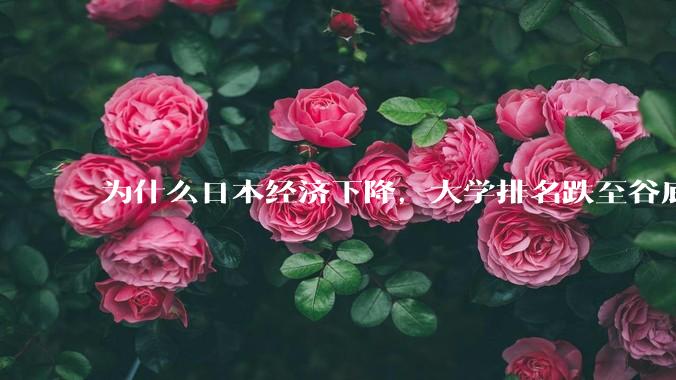 为什么日本经济下降，大学排名跌至谷底，还有那么多人挤破脑袋去日本留学？