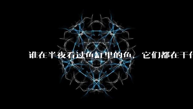 谁在半夜看过鱼缸里的鱼，它们都在干什么？