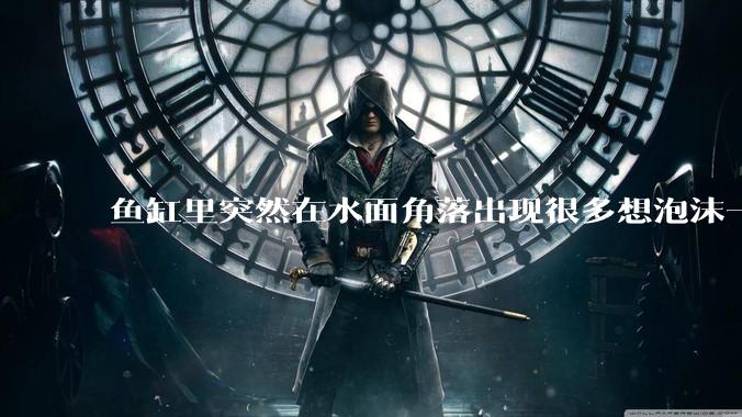 鱼缸里突然在水面角落出现很多想泡沫一样的气泡是怎么回事？