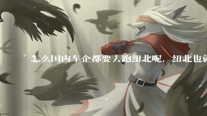 怎么国内车企都要去跑纽北呢，纽北也就是个普通赛道?