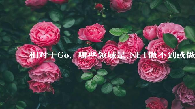 相对于Go，哪些领域是.NET做不到或做不好的?