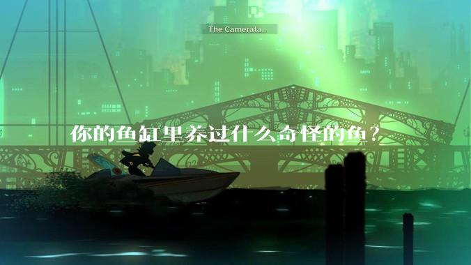 你的鱼缸里养过什么奇怪的鱼？