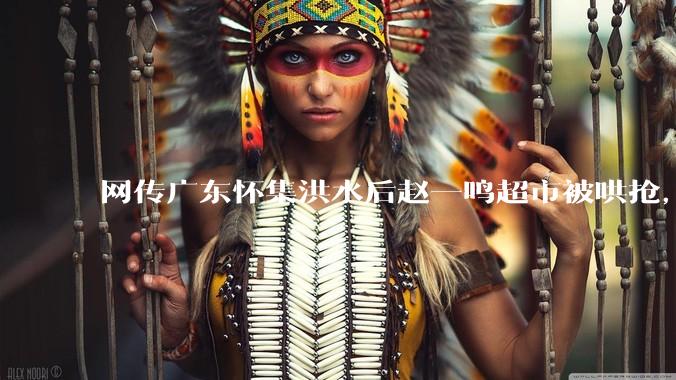 网传广东怀集洪水后赵一鸣超市被哄抢，县***回应相关单位正在核实，若属实哄抢者该承担哪些法律责任？