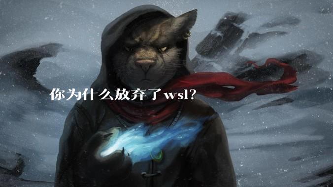 你为什么放弃了wsl？