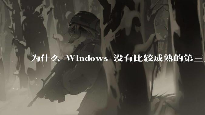 为什么 Windows 没有比较成熟的第三方桌面环境（explorer.exe）？