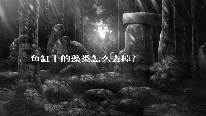鱼缸上的藻类怎么去掉？