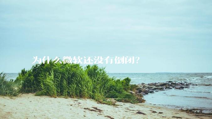 为什么微软还没有倒闭？