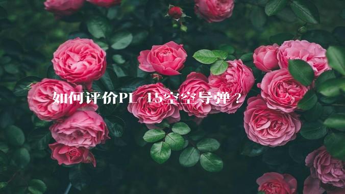 如何评价PL-15空空导弹?