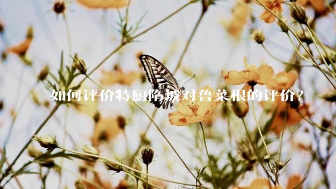 如何评价特厨隋坡对鲁菜根的评价？