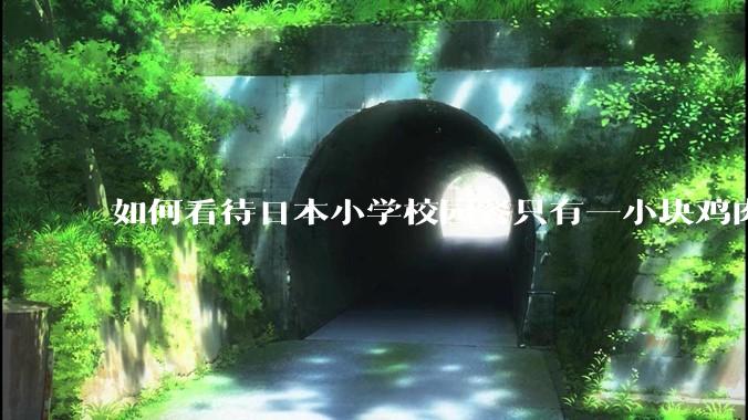 如何看待日本小学校园餐只有一小块鸡肉？