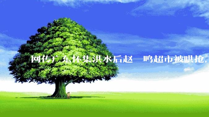 网传广东怀集洪水后赵一鸣超市被哄抢，县***回应相关单位正在核实，若属实哄抢者该承担哪些法律责任？