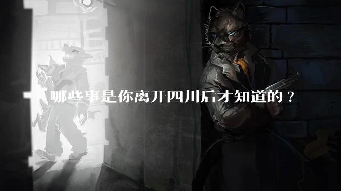 哪些事是你离开四川后才知道的?