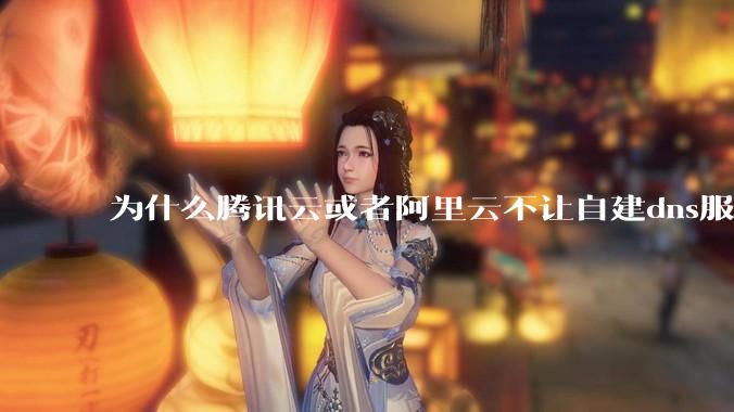 为什么腾讯云或者阿里云不让自建dns服务器?