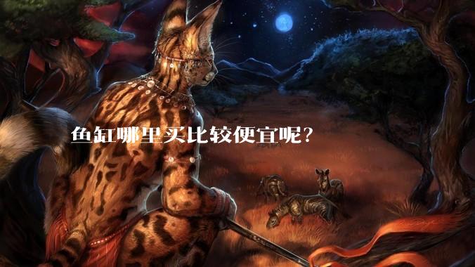 鱼缸哪里买比较便宜呢？