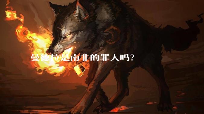 曼德拉是南非的罪人吗？