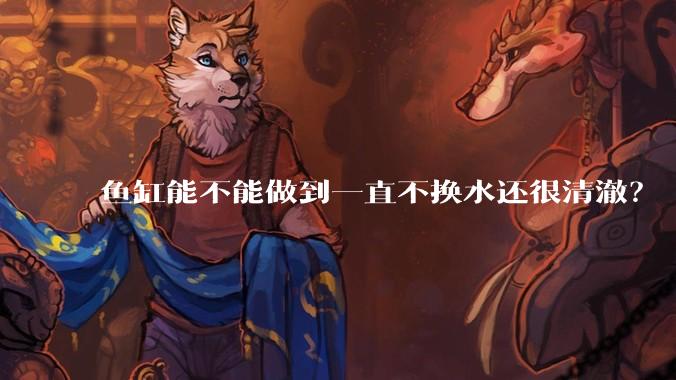 鱼缸能不能做到一直不换水还很清澈？