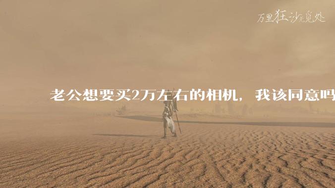 老公想要买2万左右的相机，我该同意吗？