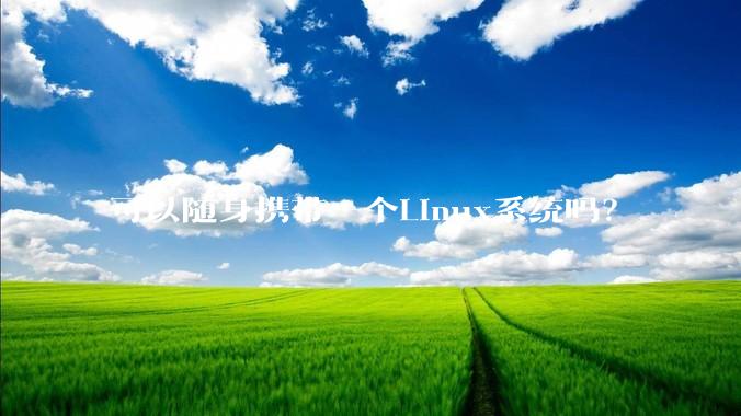可以随身携带一个Linux系统吗？