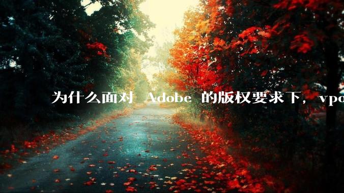 为什么面对 Adobe 的版权要求下，vposy 大神还能从容不迫？