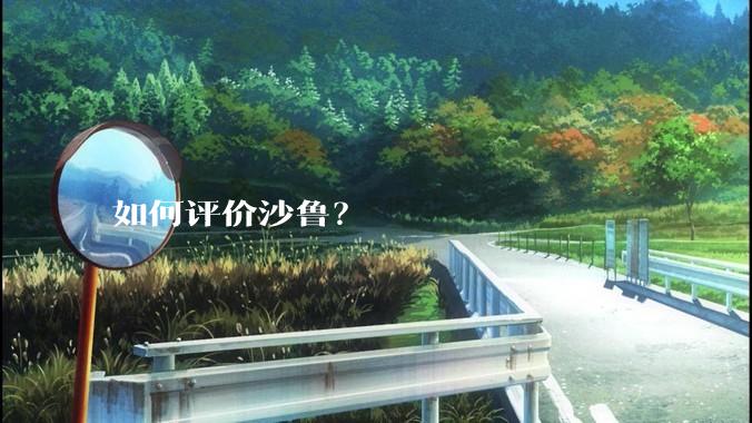 如何评价沙鲁？