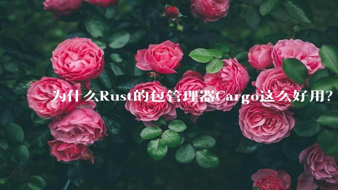 为什么Rust的包管理器Cargo这么好用？