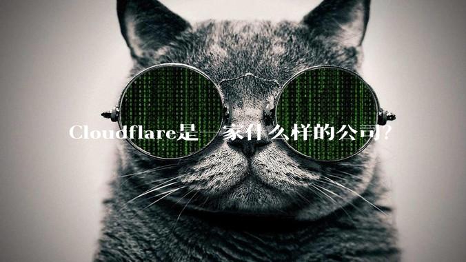 Cloudflare是一家什么样的公司？