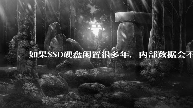 如果SSD硬盘闲置很多年，内部数据会不会丢失？