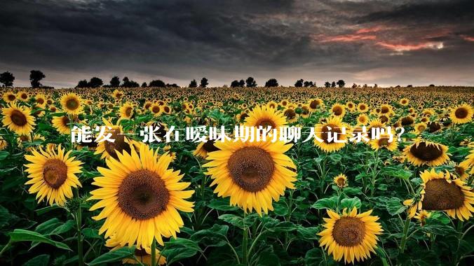 能发一张在暧昧期的聊天记录吗？