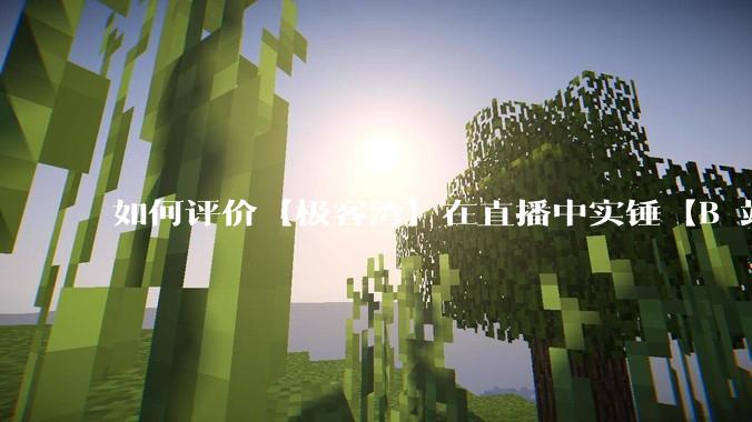 如何评价【极客湾】在直播中实锤【B 站不交保护费就限流】？