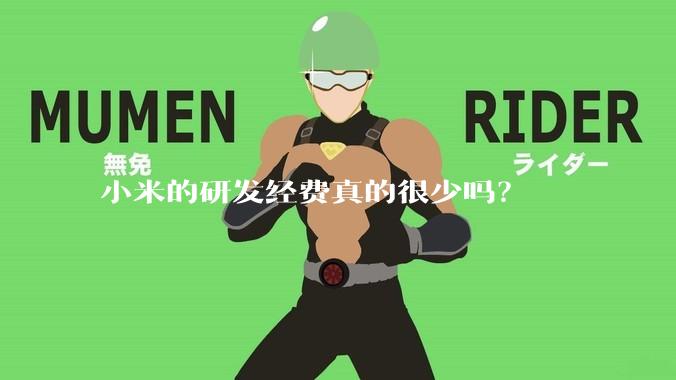 小米的研发经费真的很少吗？