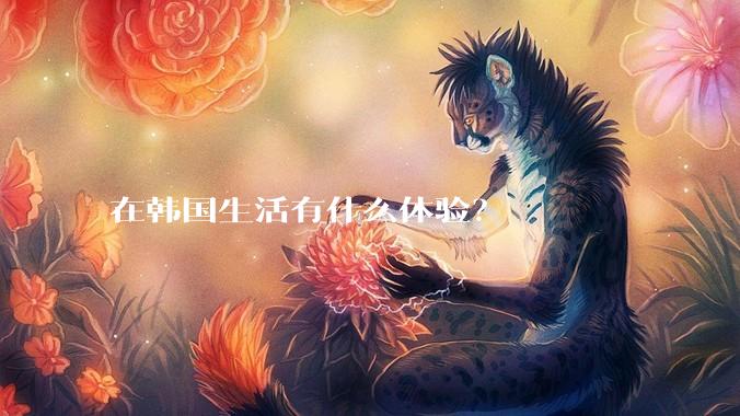 在韩国生活有什么体验？