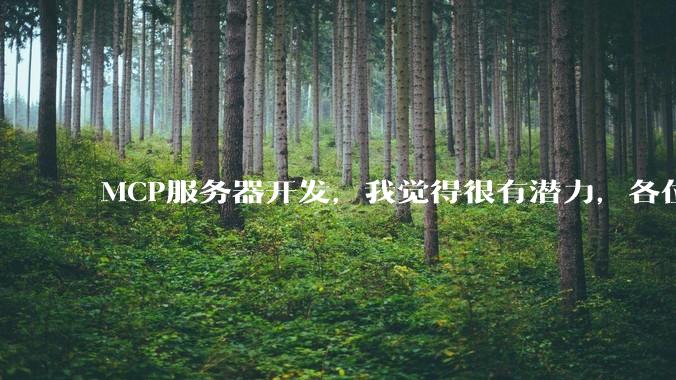 MCP服务器开发，我觉得很有潜力，各位觉得呢？